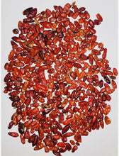 Load image into Gallery viewer, chile de piquin seco mexican piquin dried peppers 1 Lb