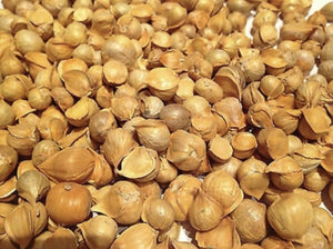 ajo japones japanese garlic great healthy remedies natural 4oz