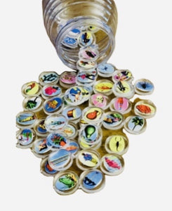 Loteria Bingo Chips In Vitrolero Free Toma Todo Mexican Toy Family Game New