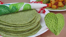 Load image into Gallery viewer, La Nueva Tortillas De Nopales &amp; Flax Seed Corn Tortillas | 20 ct Pack of 2
